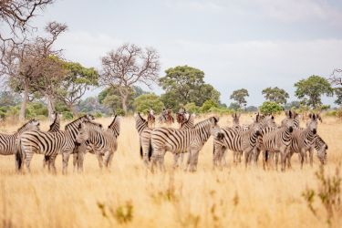 Rando Cheval - Voyage &agrave; cheval