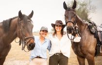 Notre cavalerie est vari&eacute;e mais parfaitement dress&eacute;e et adapt&eacute;e &agrave; la r&eacute;gion - randocheval