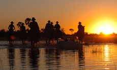 Randonnée équestres et safaris à cheval au Botswana (Afrique Australe) dans le Delta de l'Okavango - Randocheval / Absolu Voyages