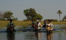 Randonnée équestres et safaris à cheval au Botswana (Afrique Australe) dans le Delta de l'Okavango - Randocheval / Absolu Voyages