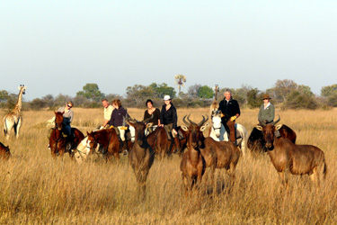 Rando Cheval - Voyage à cheval