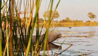 Delta de l'Okavango, galop avec la girafe dans les plaines inondées - RANDOCHEVAL
