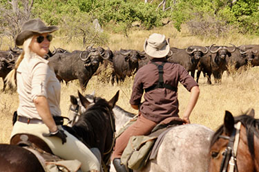 Randonnée à cheval - Un voyage Rando Cheval