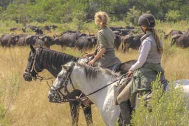 Randonnée à cheval - Un voyage Rando Cheval