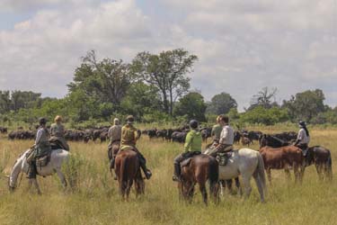 Randonnée à cheval - Un voyage Rando Cheval