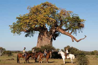 Rando Cheval - Voyage à cheval