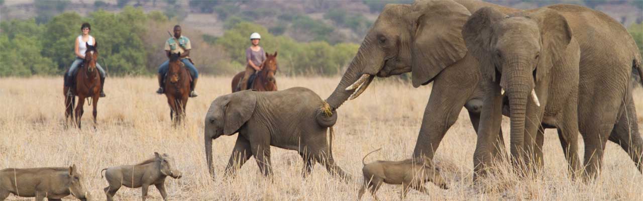Safari et aventure à cheval en Afrique - Par Randocheval