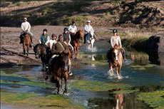 Randonnée et safari équestre au Botswana dans la réserve du Tuli Block - Randocheval / Absolu Voyages