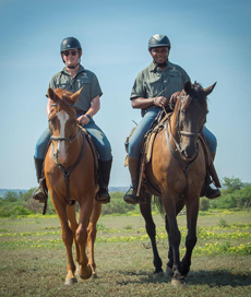 Horse riding holidays in the Limpopo Valley - Randocheval