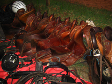 Randonnée équestre Bourgogne, Morvan Endurance - RANDOCHEVAL