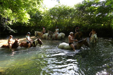 Rando Cheval - Voyage à cheval