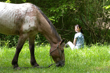 Rando Cheval - Voyage à cheval