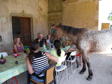 Randonnée équestre, Bourgogne les 3 Rivières - RANDOCHEVAL 