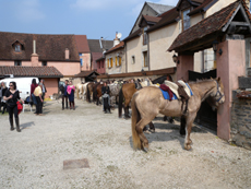 Randonnée équestre, Bourgogne les 3 Rivières - RANDOCHEVAL 