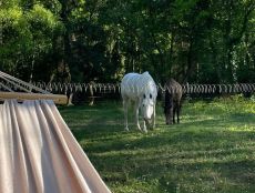 Randonn&eacute;e &eacute;questre, Bourgogne les 3 Rivi&egrave;res - RANDOCHEVAL 