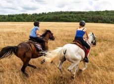 Randonn&eacute;e &eacute;questre, Bourgogne les 3 Rivi&egrave;res - RANDOCHEVAL 
