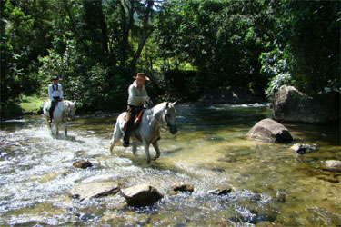Rando Cheval - Voyage &agrave; cheval