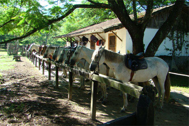 Rando Cheval - Voyage &agrave; cheval