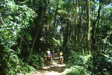 Rando Cheval - Voyage &agrave; cheval