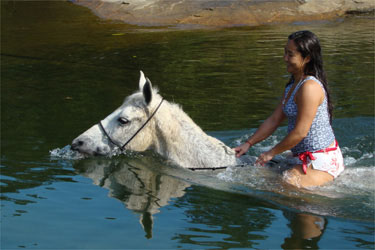 Rando Cheval - Voyage &agrave; cheval