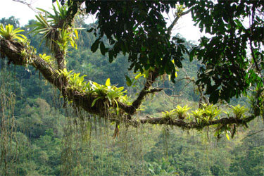 Rando Cheval - Voyage &agrave; cheval