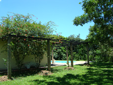 Randonn&eacute;e &eacute;questre Rio et Jungle, Br&eacute;sil - RANDOCHEVAL