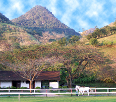 randonnée équestre au Brésil - Randocheval