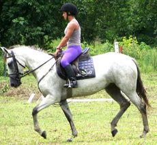 Randonn&eacute;e &eacute;questre Rio et Jungle, Br&eacute;sil - RANDOCHEVAL
