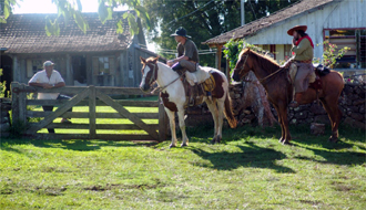 Cheval Criollo - RANDOCHEVAL