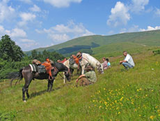 Randonnée équestre en Bulgarie dans les Balkans - Randocheval / Absolu Voyages