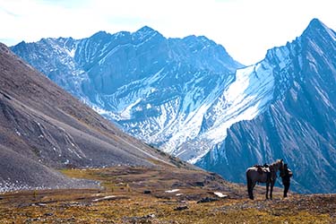 Rando Cheval - Voyage à cheval dans les Rocheuses à Banff CANADA