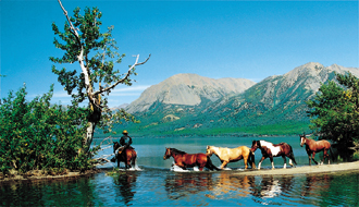 Randonnée à cheval - Un voyage Rando Cheval