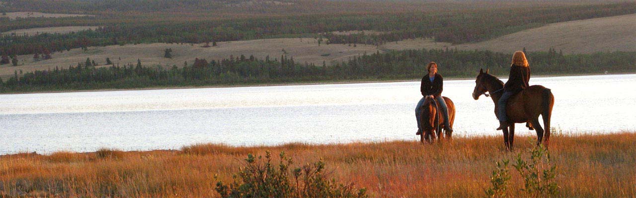 Rando Cheval au Canada- Voyage à cheval