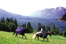 Randonnée équestre, l'Ouest Sauvage, Canada - RANDOCHEVAL