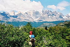 Patagonie : à cheval dans les dernières forêts épargnées par l'homme