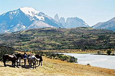 Patagonie, pause lors de la randonnée équestre