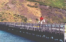 Patagonie, traversée d'un pont de bois à cheval