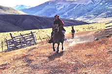 Patagonie : galop dans la Pampa