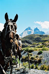 Patagonie à cheval : pique nique