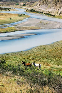 Voyages à cheval en Patagonie