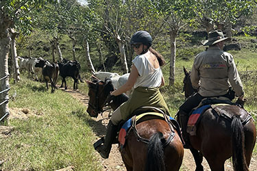 Voyage &agrave; cheval en Equateur - Randonn&eacute;e &eacute;questre organis&eacute;e par Randocheval