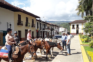 Voyage &agrave; cheval en Equateur - Randonn&eacute;e &eacute;questre organis&eacute;e par Randocheval