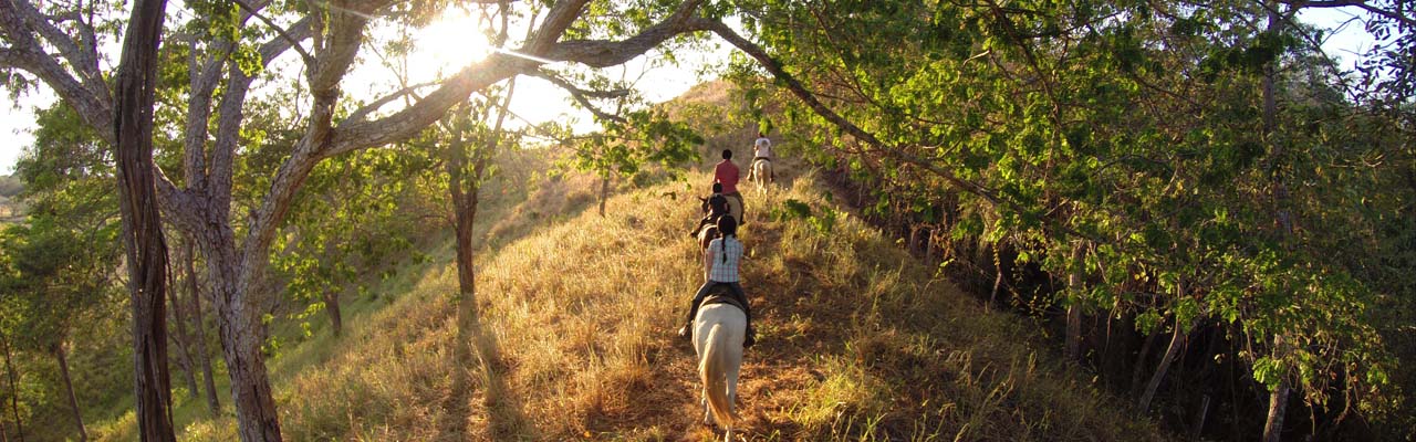 Randocheval, voyage et aventure à cheval pour cavaliers débutants