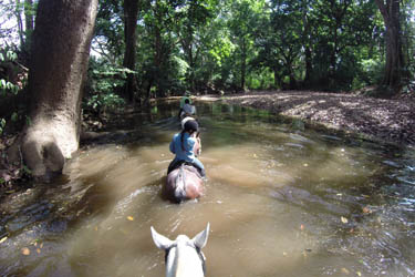 Voyage à cheval - Randonnée équestre au Costa Rica avec Randocheval