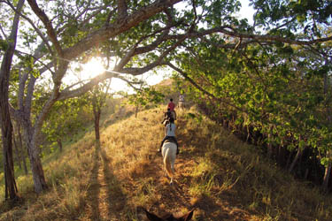 Voyage à cheval - Randonnée équestre au Costa Rica avec Randocheval