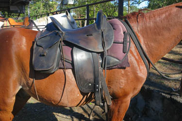 Voyage à cheval - Randonnée équestre au Costa Rica avec Randocheval