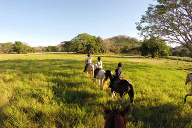 Voyage à cheval - Randonnée équestre au Costa Rica avec Randocheval