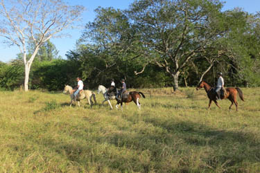 Voyage à cheval - Randonnée équestre au Costa Rica avec Randocheval