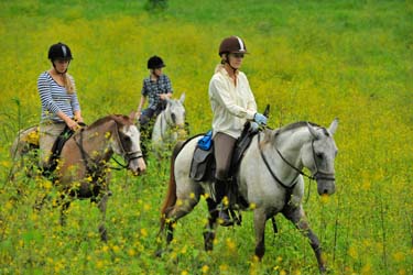 Voyage à cheval - Randonnée équestre au Costa Rica avec Randocheval