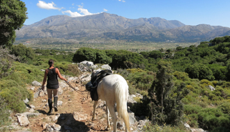 La crète à cheval - Rando cheval - RANDOCHEVAL